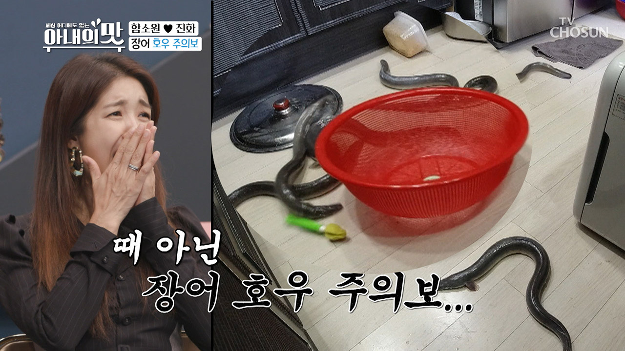 生生장어 출몰♨ 소름 쫘악- 아수라장어ㅋㅋ