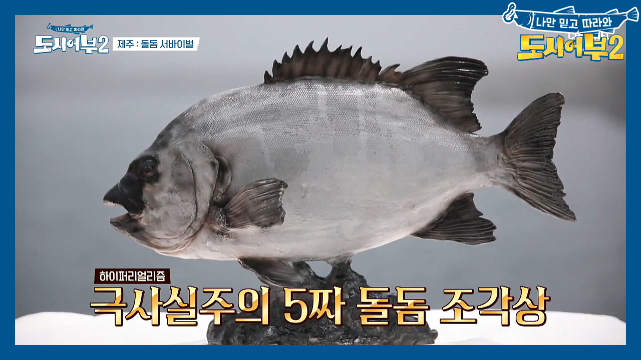 돌돔을 못 잡는 자, ★야밤에 한치 100마리★를 잡아라! (feat.예...