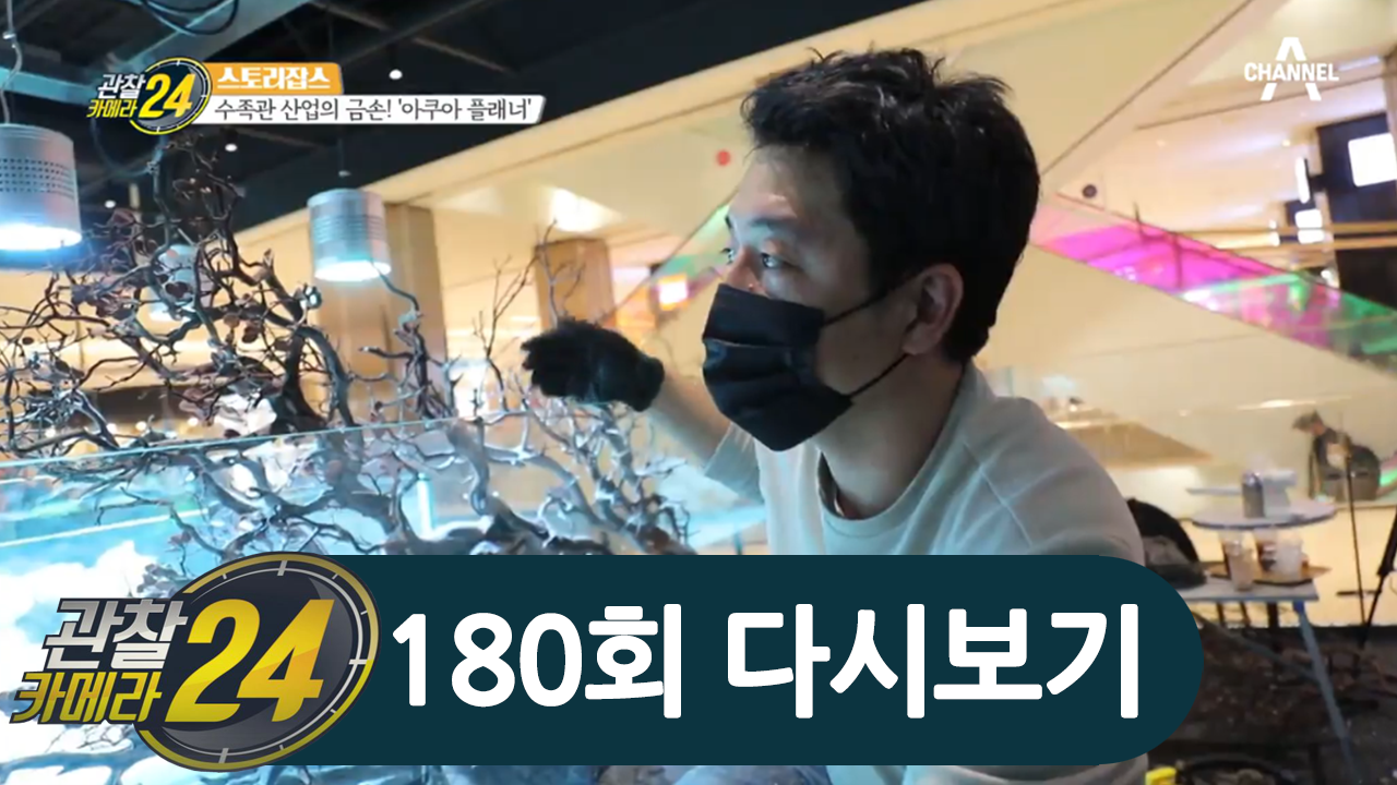 나만의 수족관을 연출하다! 아쿠아 플래너의 진심이 담긴 작품들