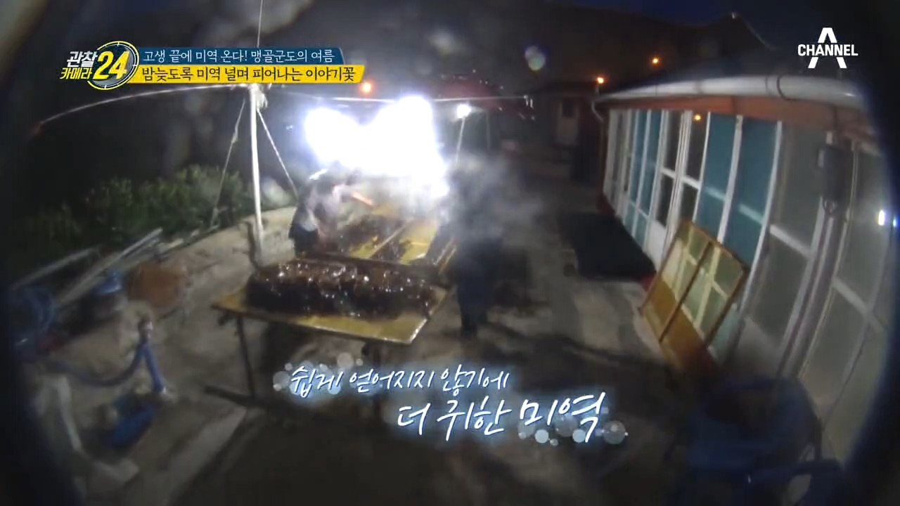 밤늦도록 끝나지 않는 미역 손질, 쉽지 않기에 더 귀한 맹골군도의 '미역'