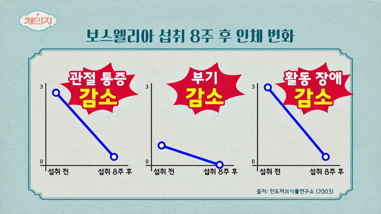 극심한 관절 통증 낮추고 염증을 줄여 주는 &#39;보스웰리아&#39;