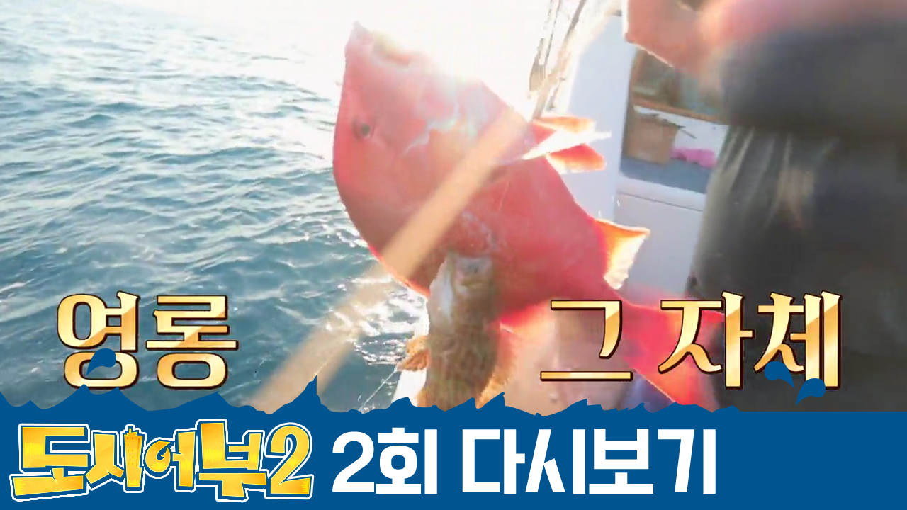 [#도시어부시즌2 다시보기] ♨레드 엠퍼러 리벤지♨ 그토록 찾아 헤매던 ...