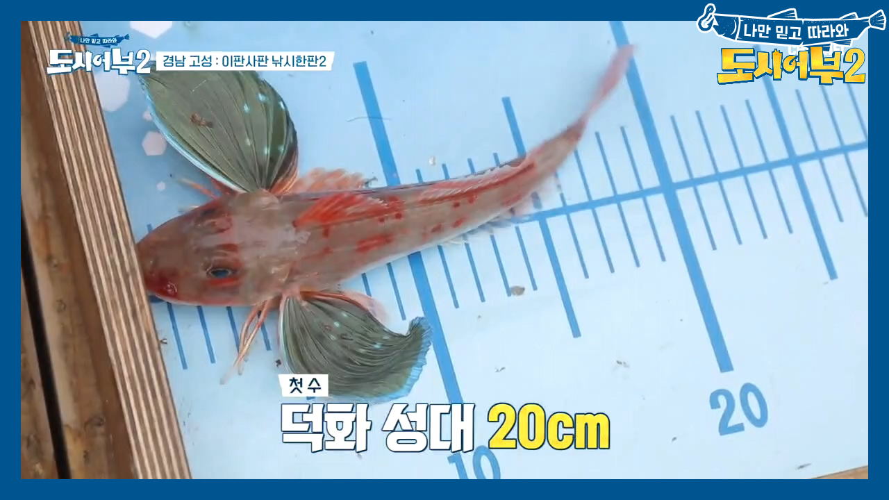 다들 노래에 빠져 있을 때 덕화 무사는 '(또)성대'를 낚...