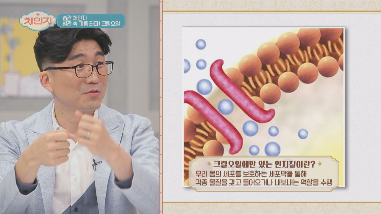&#39;크릴 오일&#39; 속 세포의 문 역할을 하며 뇌세포 유지하는 &#39;인지질&#39;