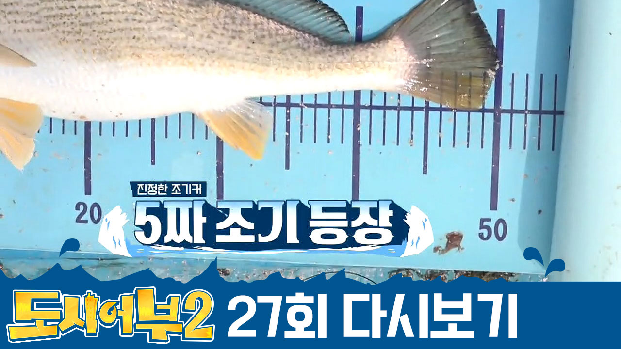 ＂이럴거면 선장 어부(?)를 찍어 그냥!!＂ 5짜 조기 잡은 선장님ㅋㅋ