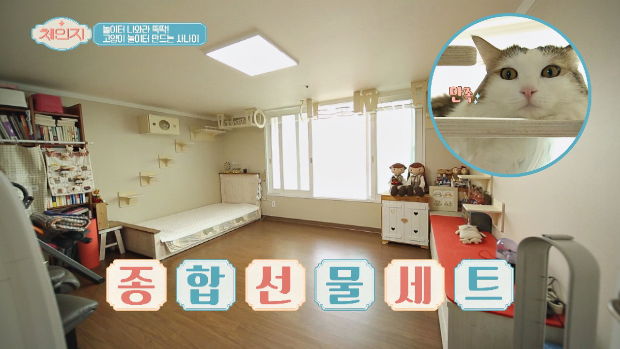 고양이&amp;집사들의 높은 만족도 보장 [고양이 놀이터]