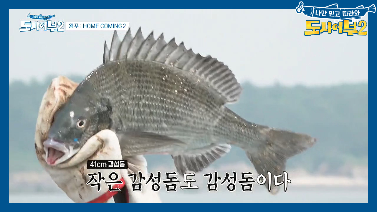 ↖진철 연속 히트↗ 할당량(?) 채워가는 박 프로^^b (ft. 예민 보...