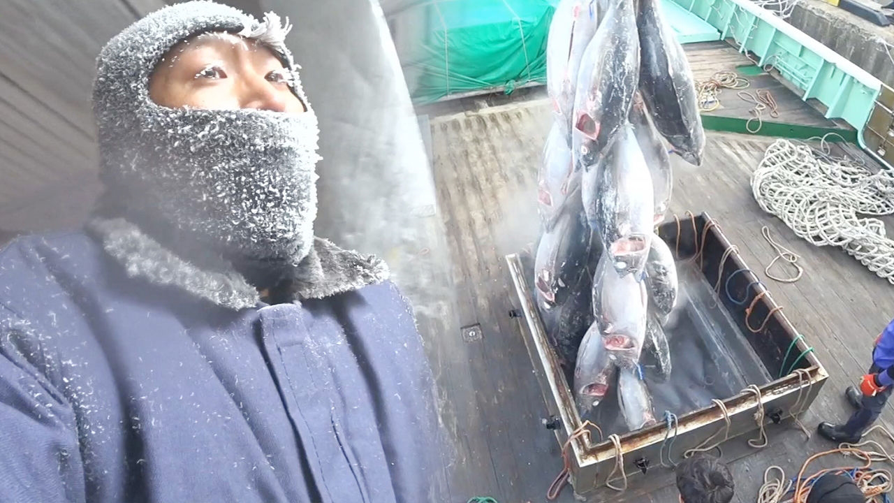 영하 60도 냉동창고에서 벌어지는 살벌한 참치 하역 작업! - kakaoTV 영하 60도 냉동창고에서 벌어지는 살벌한 참치 하역 작업!