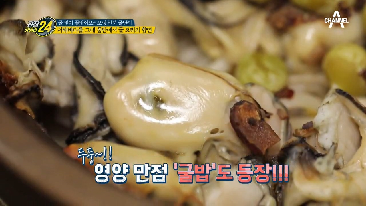 ♨겨울 추위도 끄덕없다♨ 고급 코스요리 뺨치는 *굴 요리* 코스!