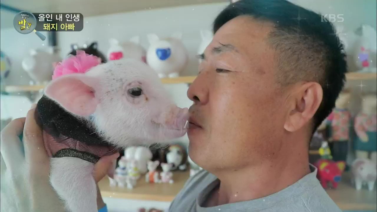 돼지 없이 못 살아♡ 돼지와 사랑에 빠진 아빠 | KBS 210726 방송 - kakaoTV 돼지 없이 못 살아♡ 돼지와 사랑에 빠진 아빠 | KBS 210726... 