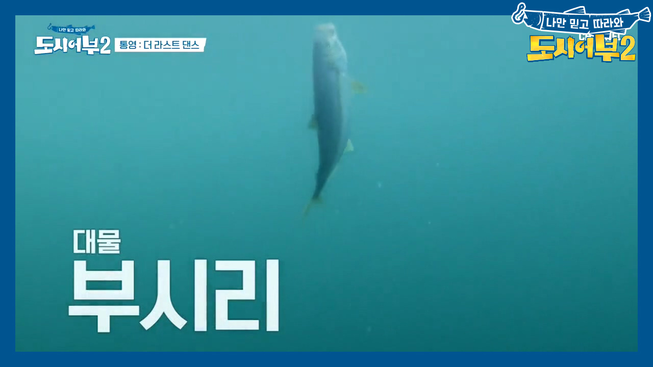 (긴장X100) 끌려가는 초릿대ㅎㄷㄷ;; 이대로 터지고 말 것인가...!