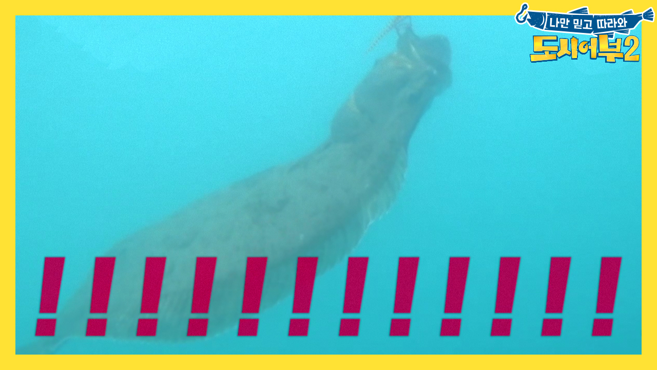 [선공개] 수근x동국 더블 히트! 대물임이 분명하다!