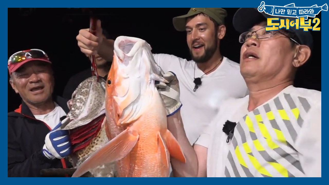 최강 비주얼.. 자이언트 그루퍼! '낙지가 답이네♥'