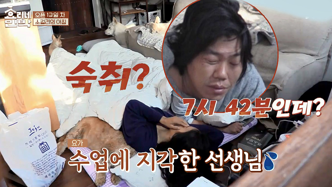 늦잠 잔 효리(!) 그래? 우리 효리한테 숙취가 있었구나…;;