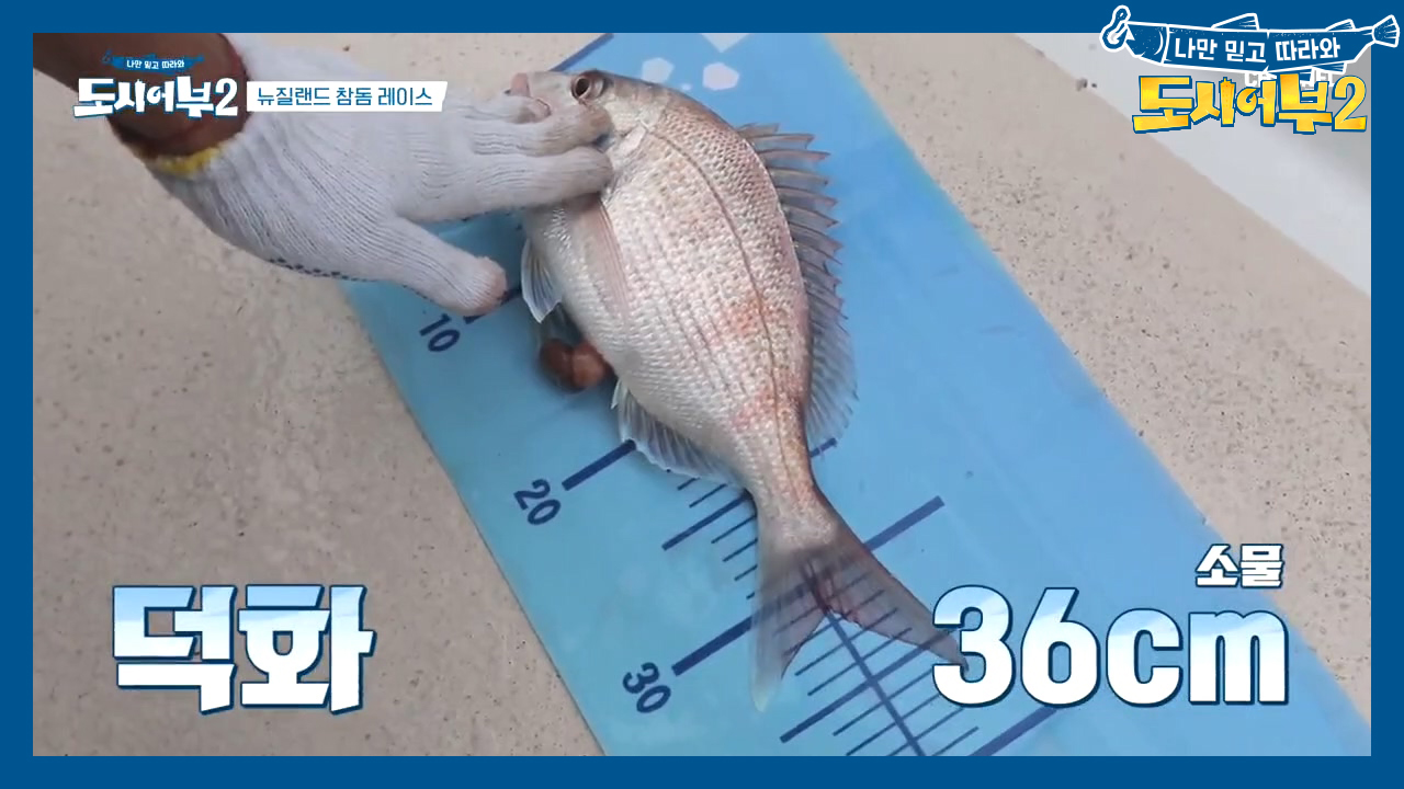 덕화, 가까스로 無참돔 클럽 탈출 성공~~ 비록 열쇠고리 크기여도 햄볶해♥ㅁ♥