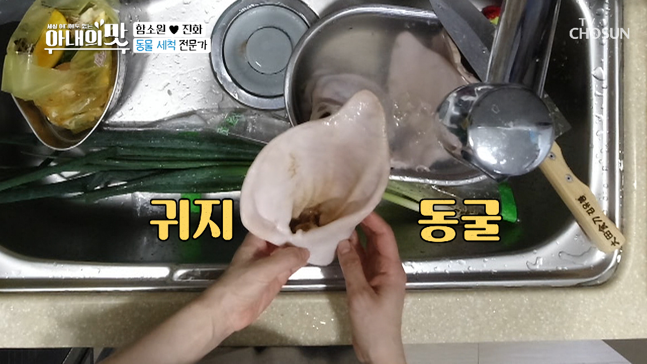 ※비위 주의※ 짠소원 돼지 귀지 세척 도오전!