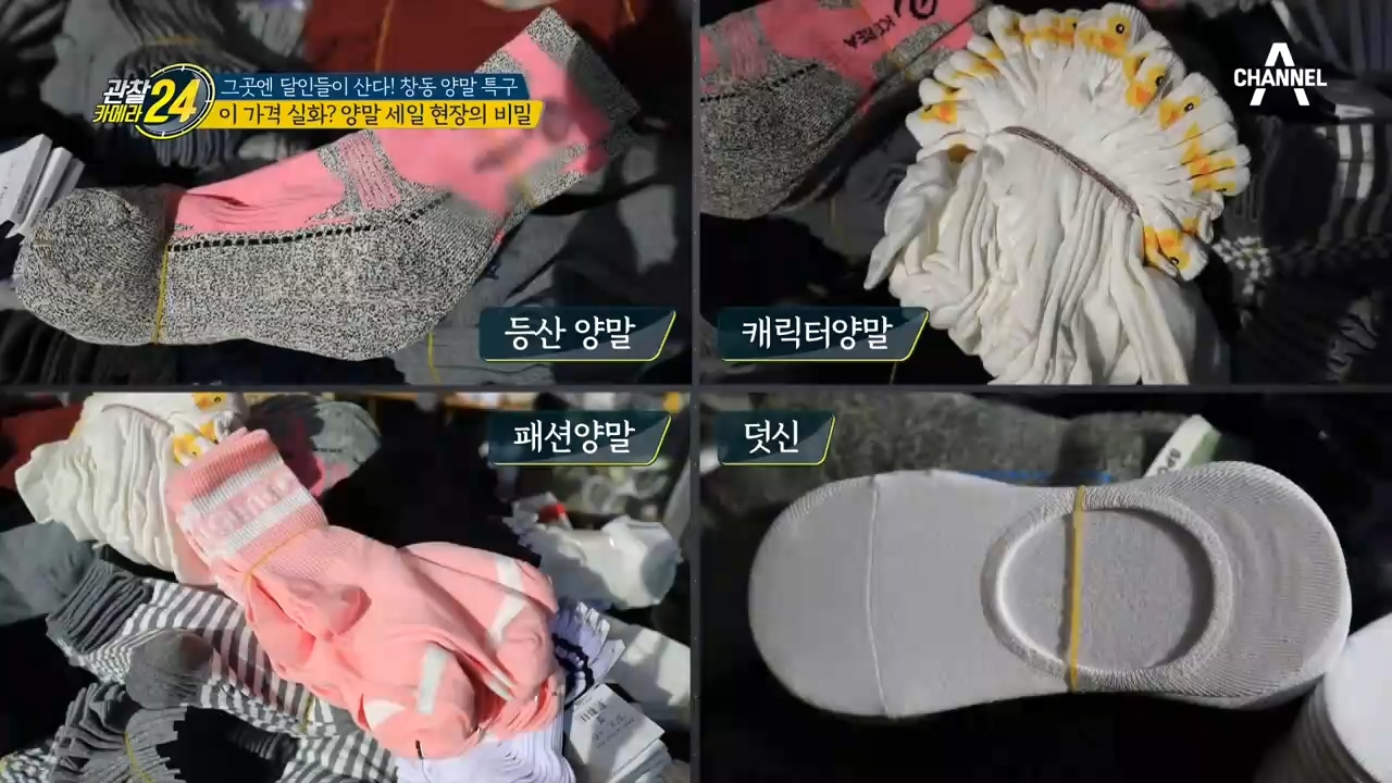 이 가격 실화? ⊙_⊙ 양말 세일 현장의 비밀 大공개!