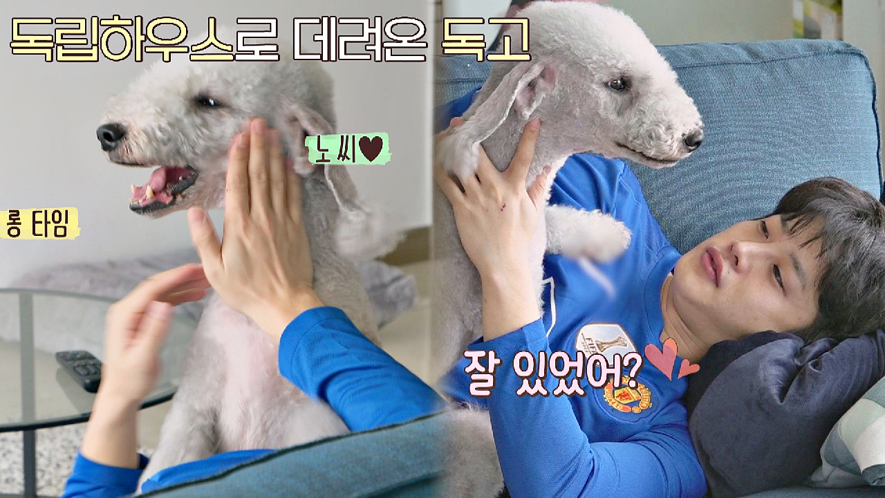 김민석, 독립 2주 만에 독립하우스에 입성한 독고와의 찐-한 모닝 스킨십♥ | JTBC 210419 방송