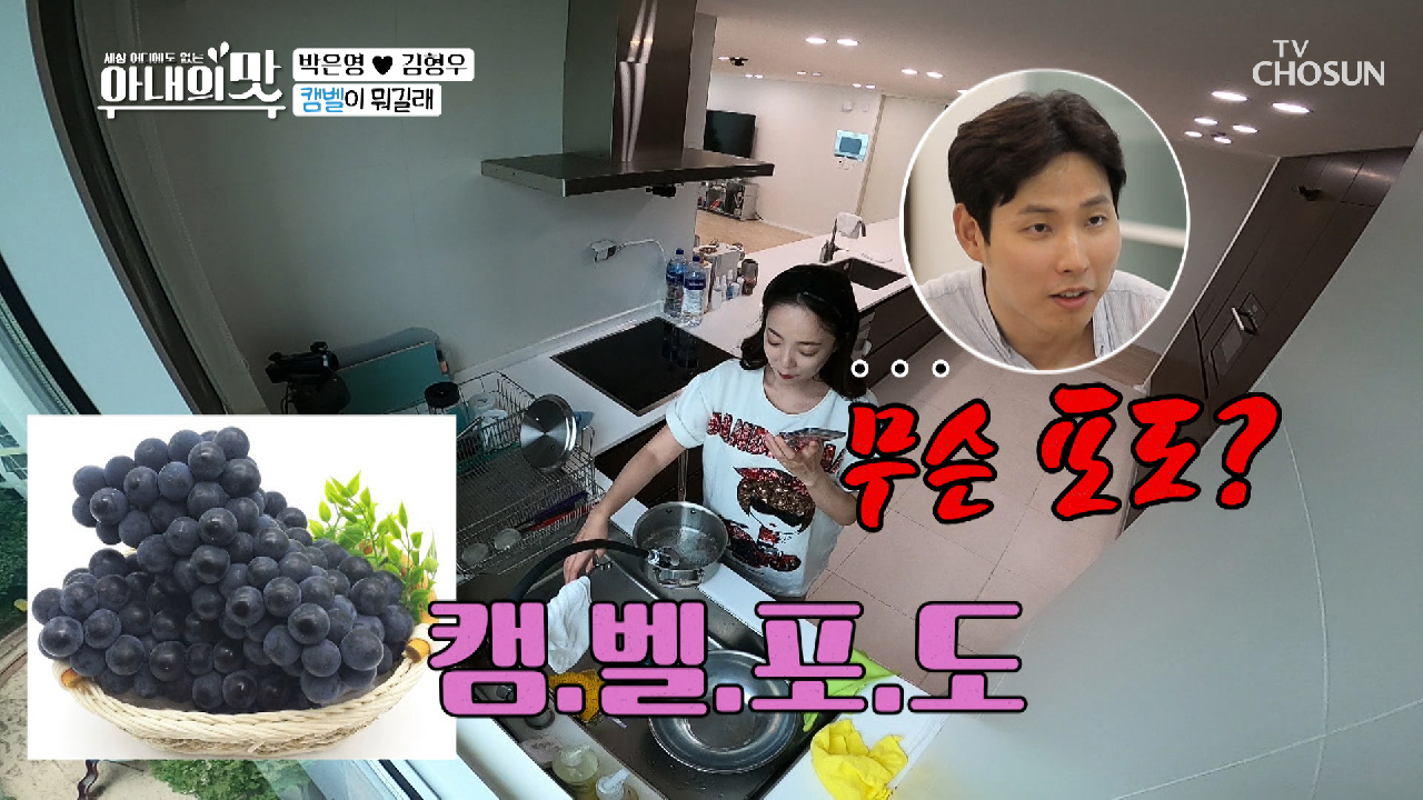 (남편둥절) “켐벨 포도가 뭐야?” feat. 그냥 포도?