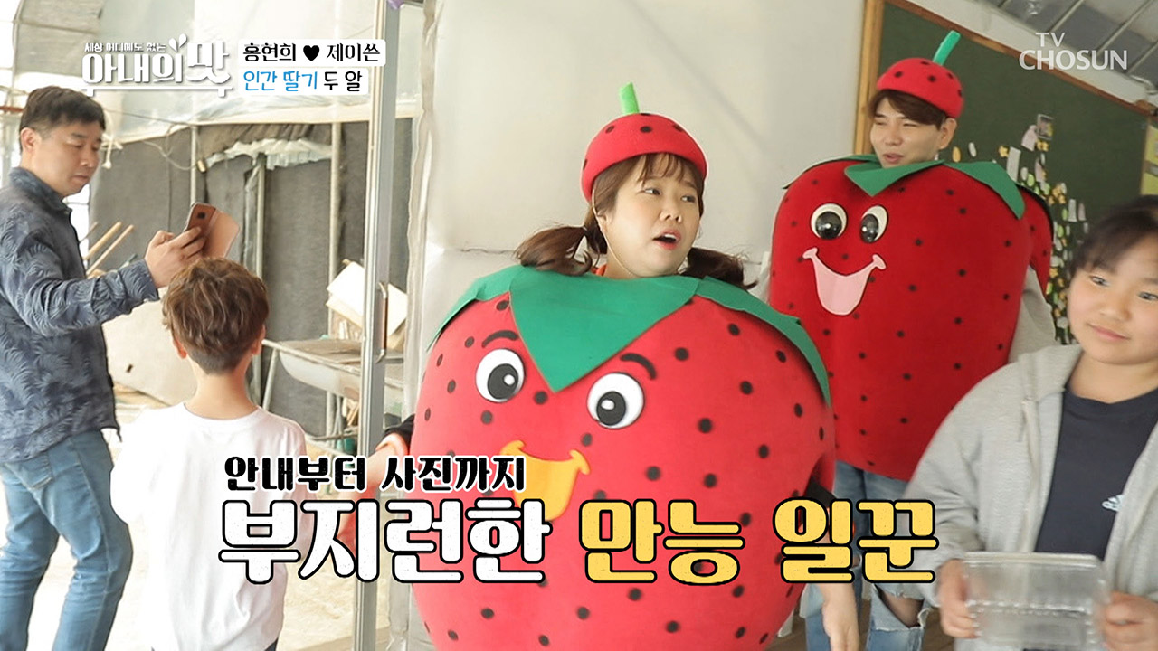크왕! 딸기 밭에서 먹방 中 조급해진 홍보대사(다나가↗어서↗)