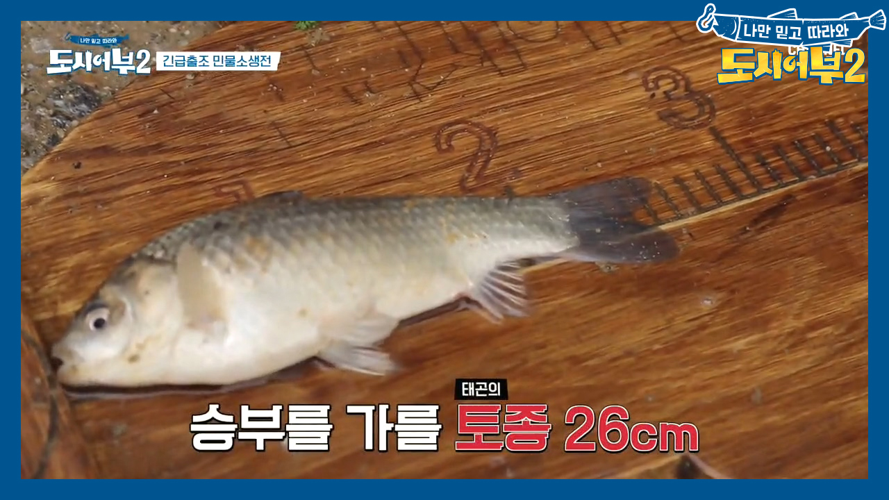 ↖(경) 태곤 30마리 달성 (축)↗ 단 '한 마리'로 승...