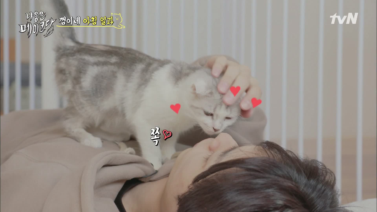 thumb.png?ts=1578237487