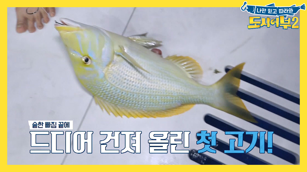 [선공개] GT라고?! 광란의 밤 낚시! 몸을 가누기 힘들 정도의 초대물...