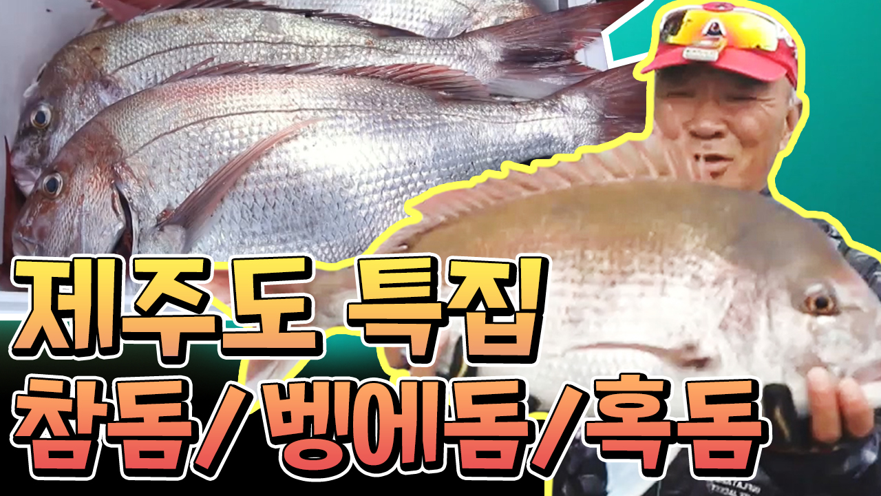 [#도시어부2] ★제주도 돔 3대장을 찾아서★ '참돔'부터...