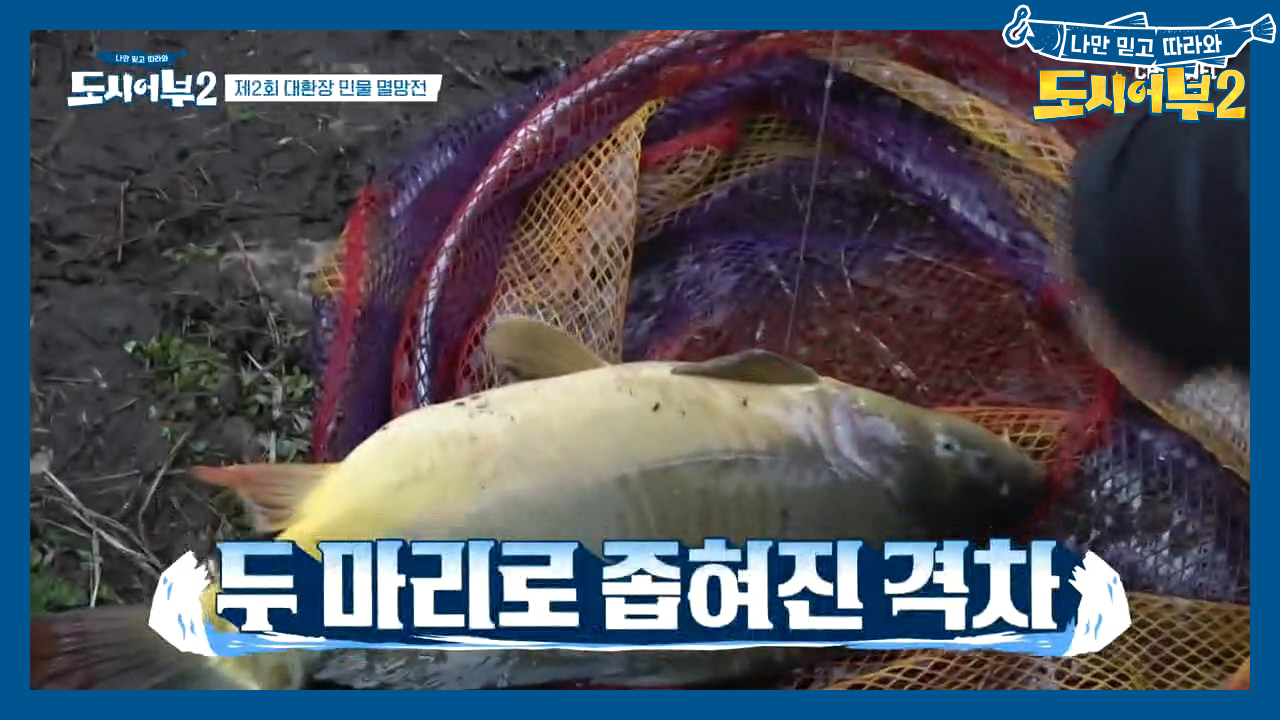 21마리 VS 19마리로 1등 상렬을 맹추격하는 덕화~!! 과연 무게는....