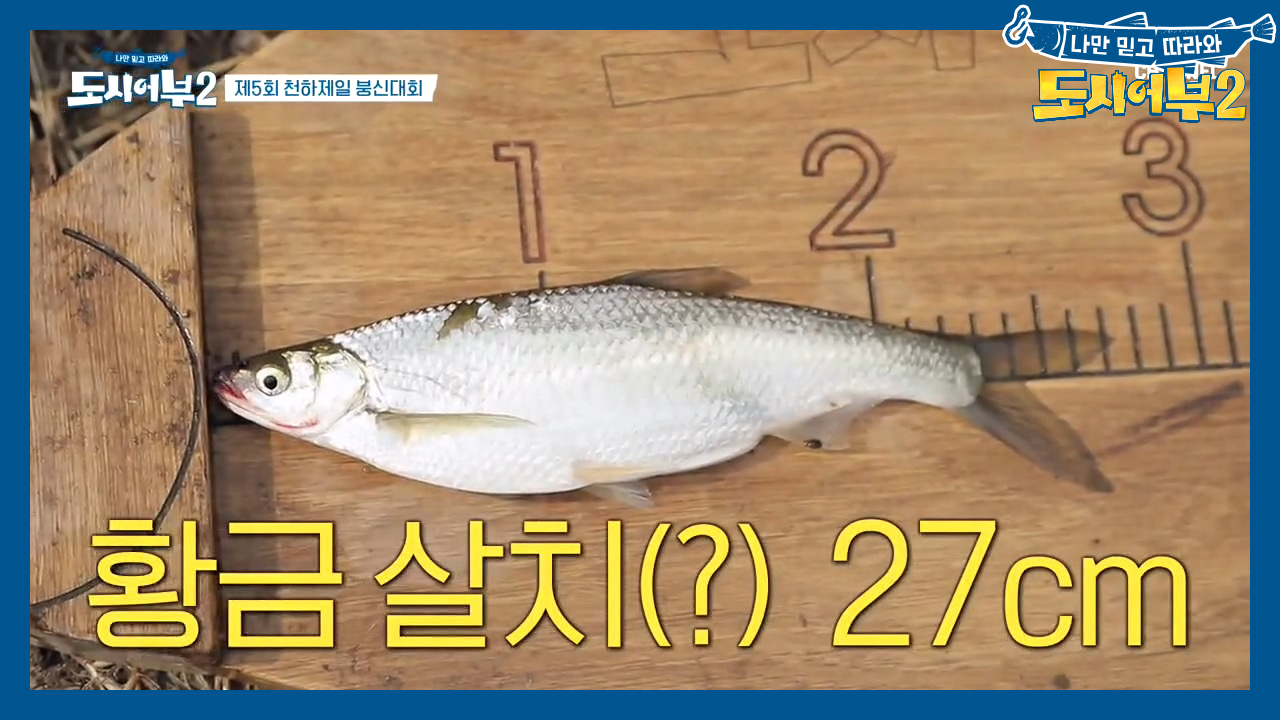 ♥감동♥ 낚시 10시간 만의 첫 HIT! '살치' 잡고 꼴...