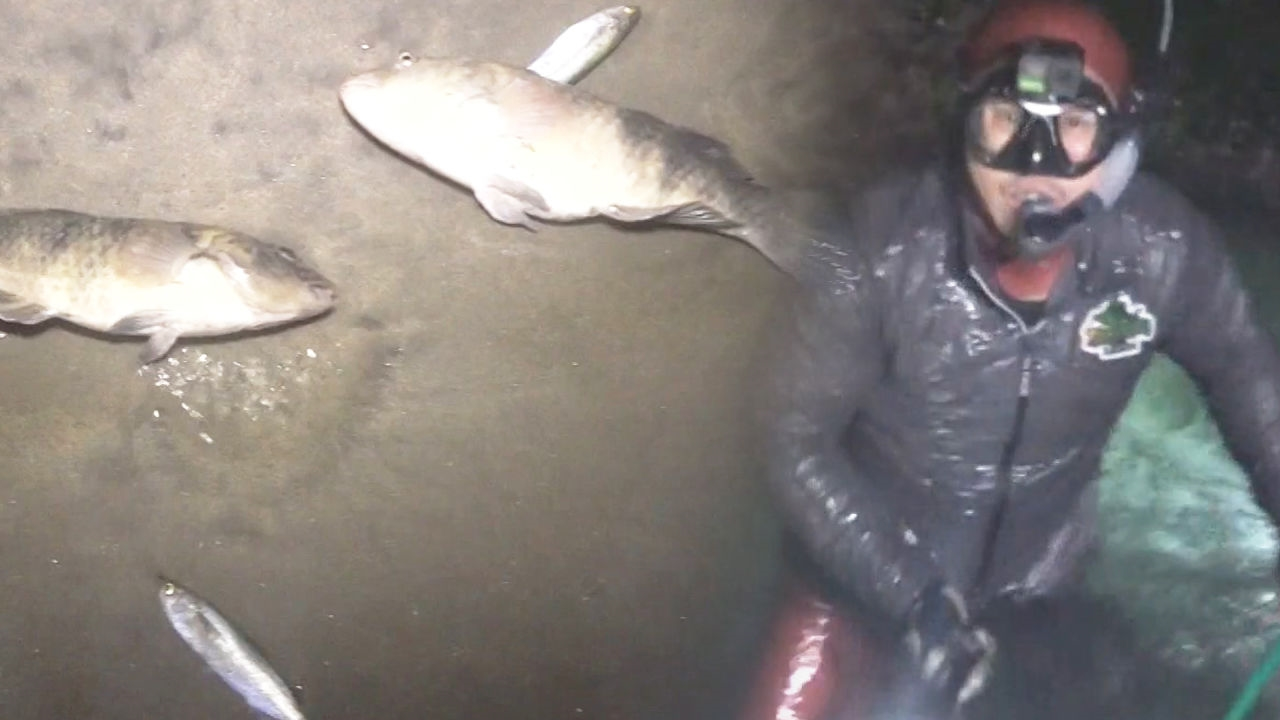 ‘누워서 떡 먹기’ 김병만, 너무 쉬운 고기잡이