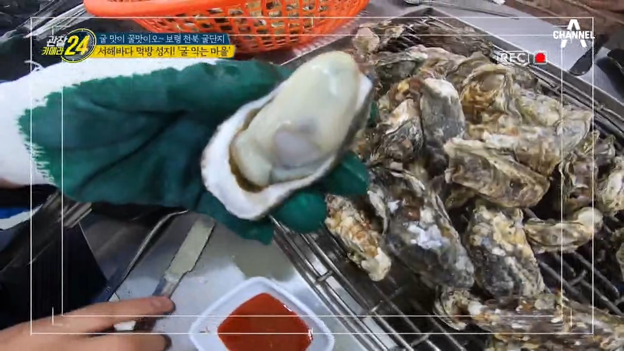 '살살 녹는다♥' 서해바다 먹방 성지! '굴 익는 ...