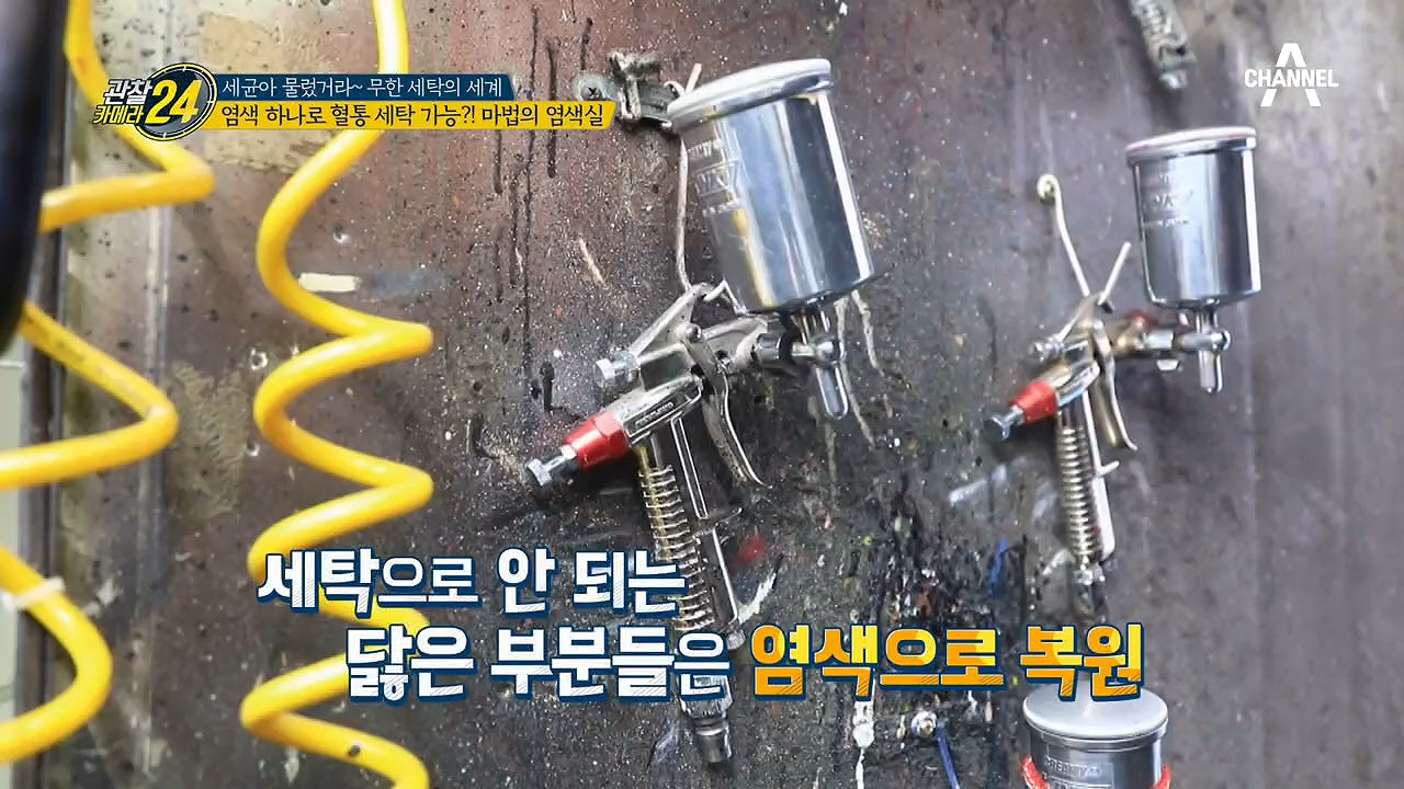 ◎염색 하나로 혈통 세탁 가능?!◎ 마법의 염색실!