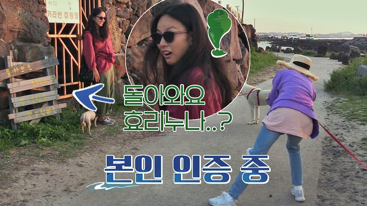 [돌아와요 효리누나] 표지판 앞, 본인 인증하는 효리(ㅋㅋㅋ)