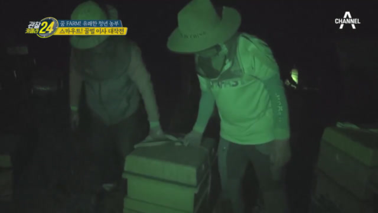 ※돌발상황※ 벌통 이사 중 온몸에 벌이 붙었다!?