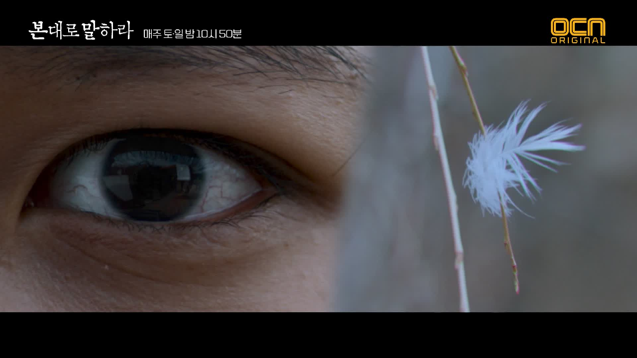 thumb.png?ts=1582384608