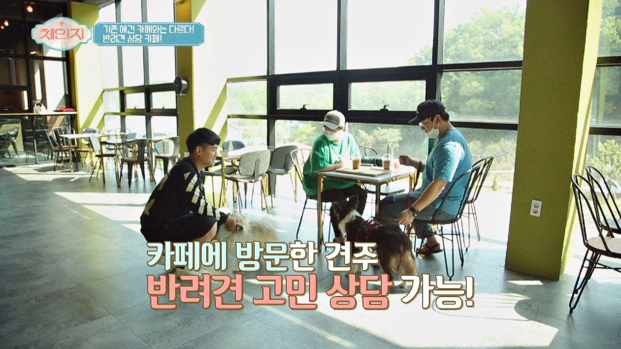 애견 훈련사가 상담해 주는☞ 반려견 상담 카페