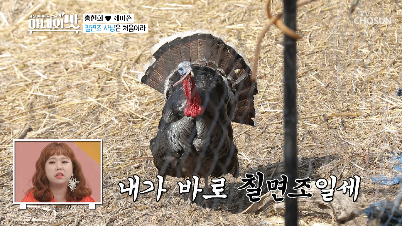 ?염소 똥밭 칠면조 사냥!! 치열한 혈투?