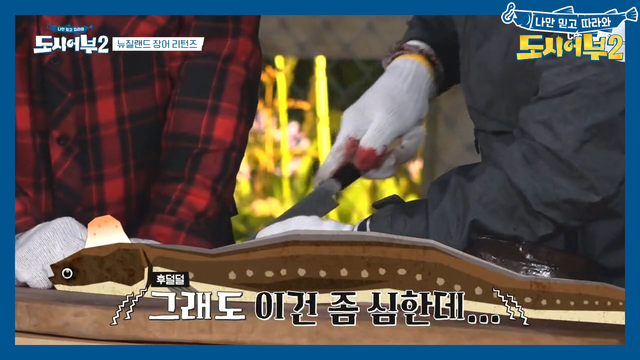 (섬뜩ㄷㄷ;;) 규든램지의 장어 해부학! 망치질 할 때마다 꿈틀대는 장어...?