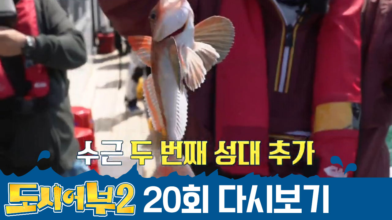 도시어부 최초! '3성대(=잡어)'로 황금배지 도전한 수근...
