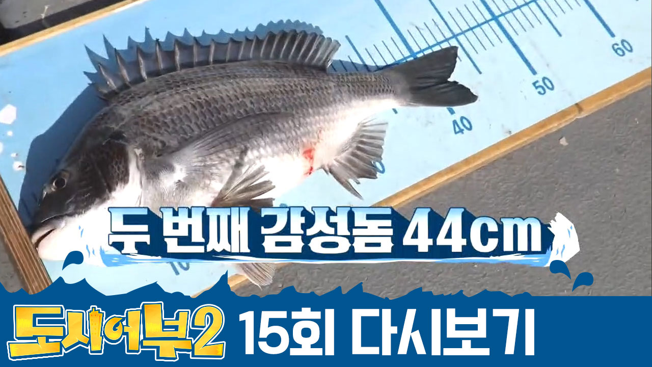 ＂이건 무조건 5짜다~!!＂ 명인 VS 대물의 팽팽한 힘겨루기, 과연 그 크기는?