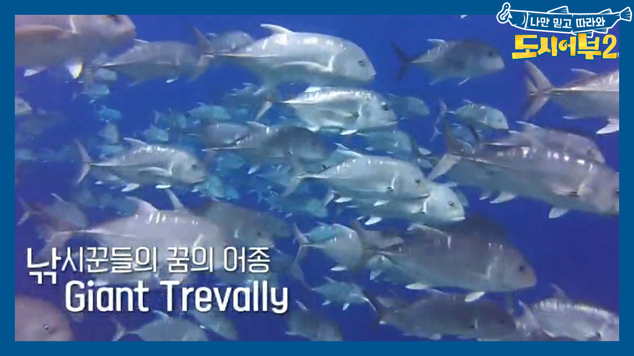 ★GT와 블랙마린의 던전★ 그레이트 배리어 리프에 도착하다~~!!