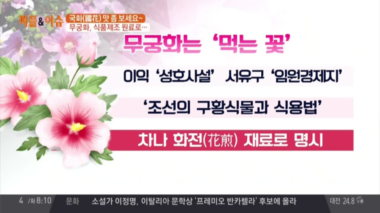 국화 무궁화, 식품제조 원료로 만든다? - kakaoTV 국화 무궁화, 식품제조 원료로 만든다?