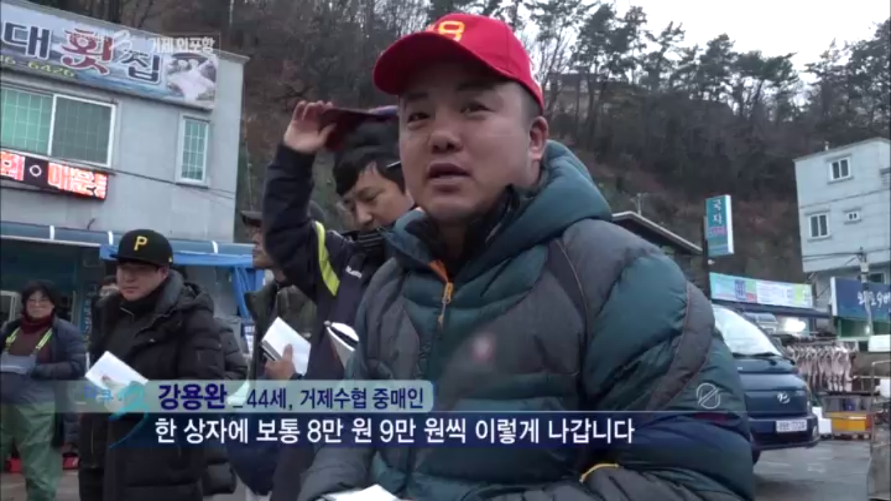 거제 수협 중매 현장