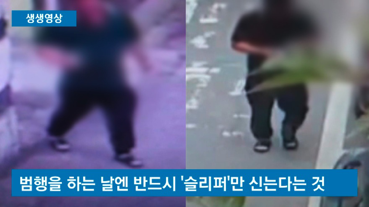  도둑 특이한 습관