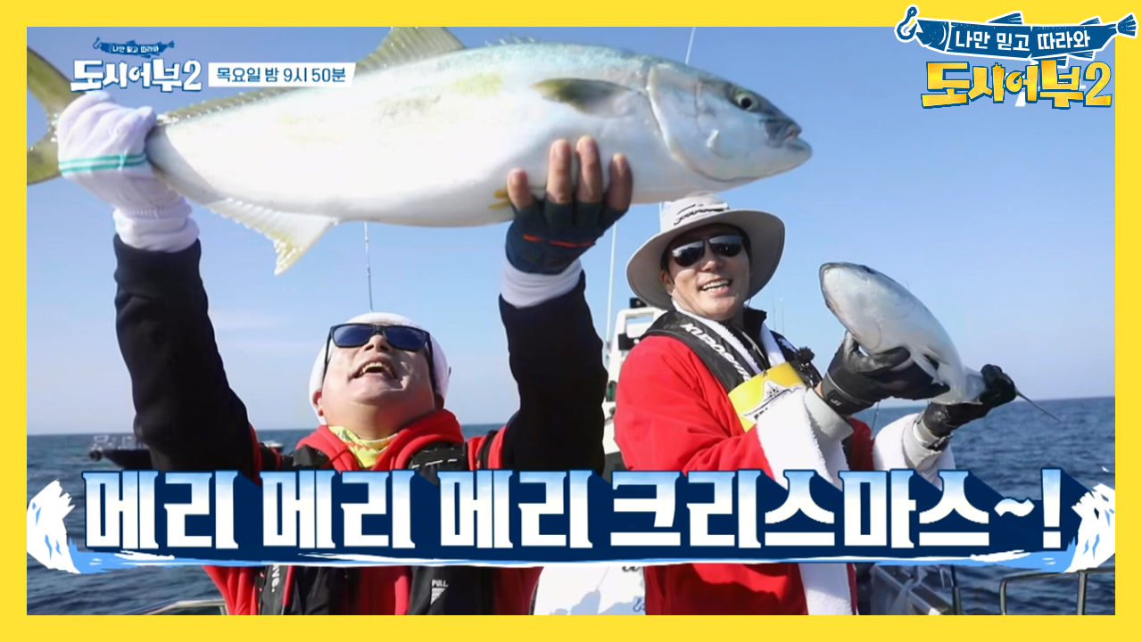 [다음이야기] 메리부시리마스♥ 역대 최고 조황이 크리스마스에 터졌다!