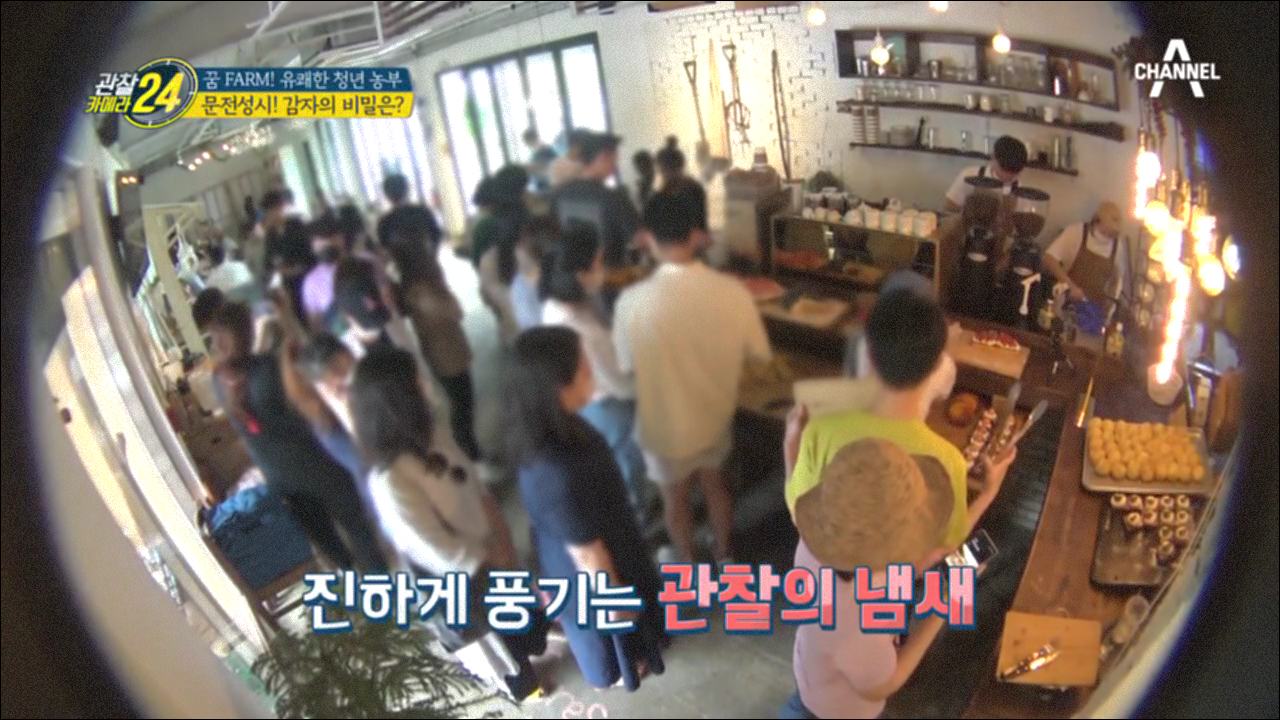 문전성시! '핫'한 감자의 비밀은?