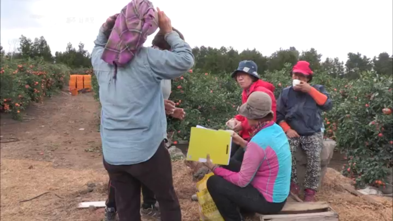 땀과 정성을 쏟아내는 농민들
