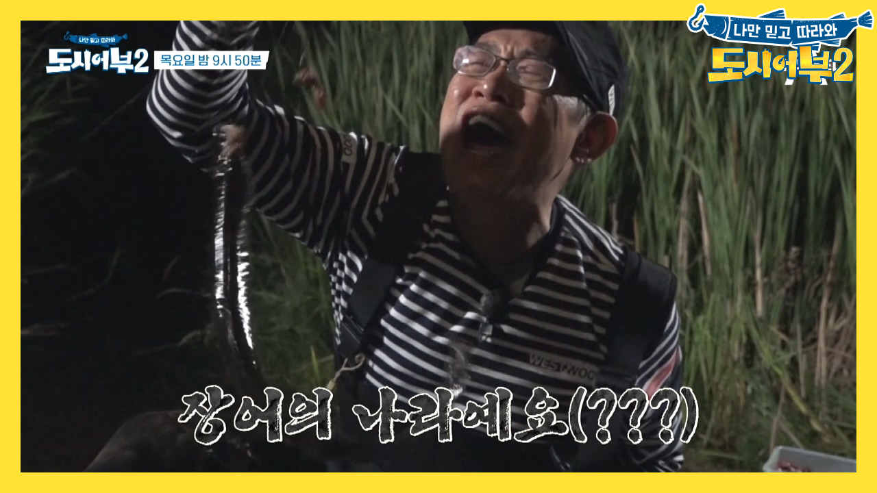 [다음이야기] ＂뉴질랜드는 장어의 나라에요(?)＂ 신룡급장어 등장!!