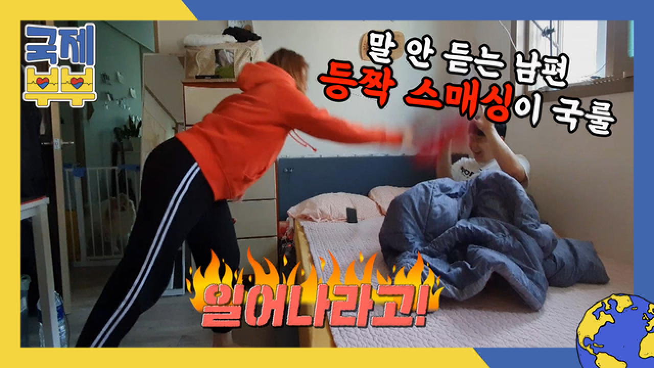 잠 깨울 때는 ※등짝 스매싱이 국룰※ 메간, 한국 패치 완료! MBN 210528 방송